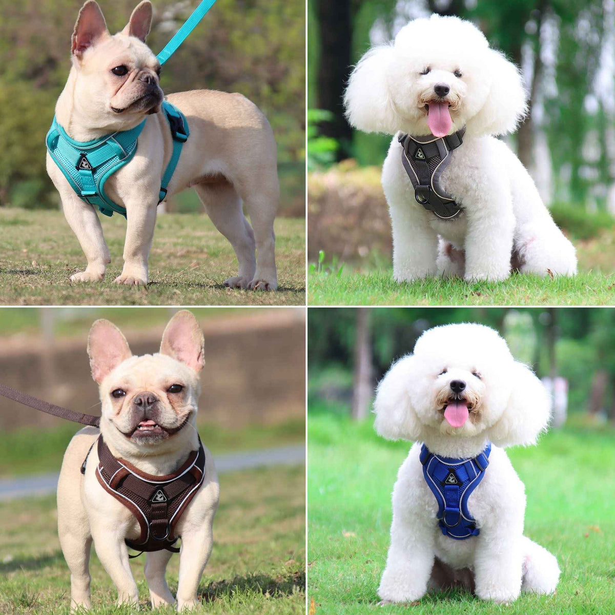 Pet Leash Reflective Breathable Cat Harness Vest Style Small Cat Breathable Reflective by eprolo