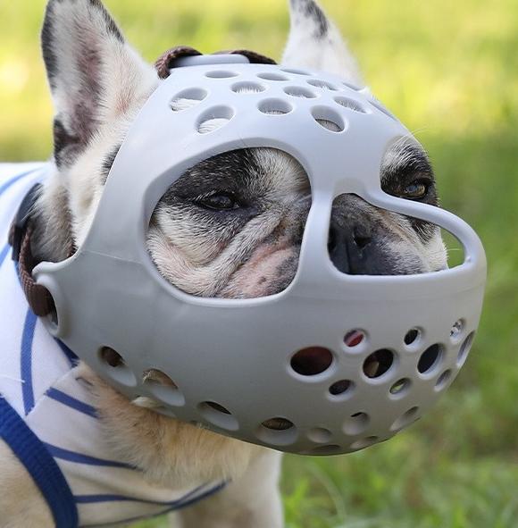 Humble Dog Soft Rubber Short-Muzzle Dog Muzzle for Bull Terrier, English Bulldog, French Bulldog, Pug - Prevents Biting and Eating Randomly by eprolo