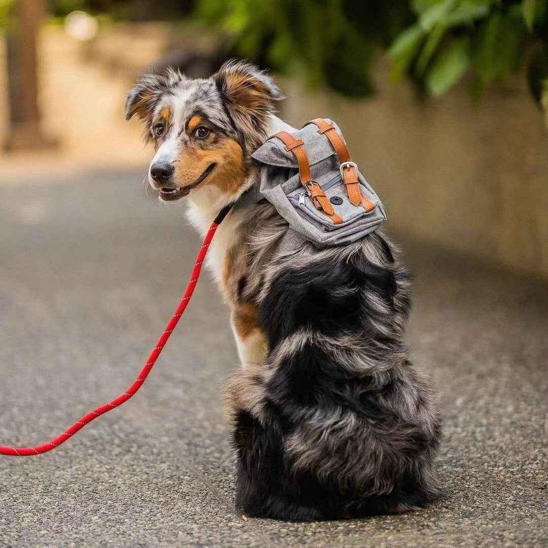 Dog backpack Pet small schoolbag with straps Portable by eprolo