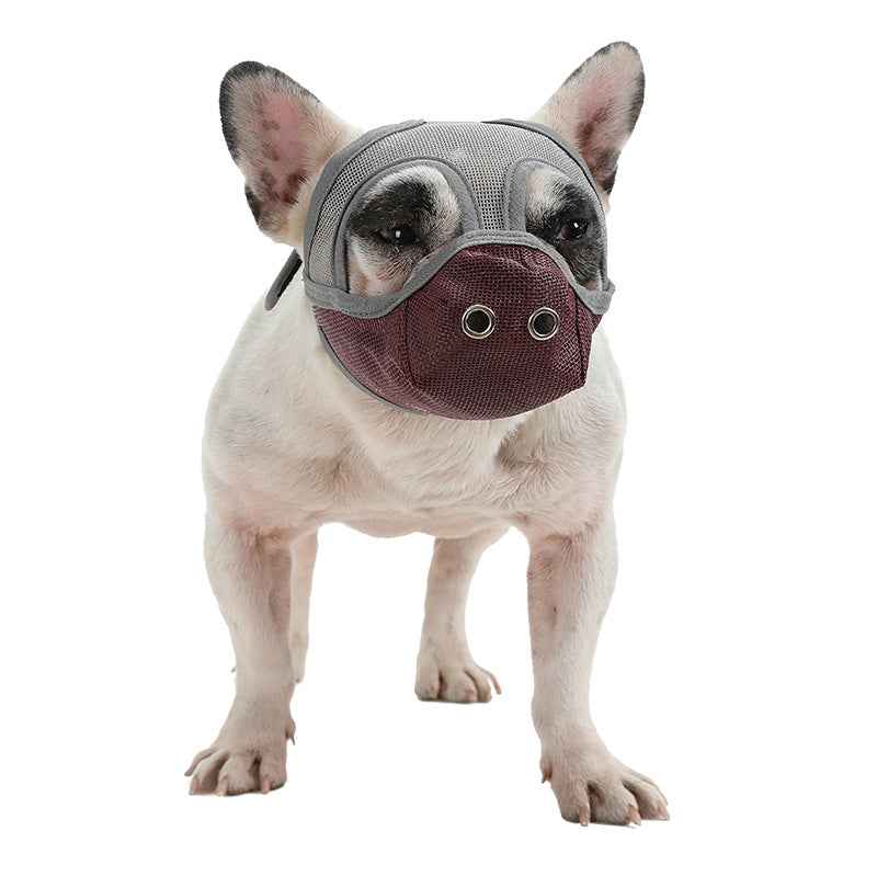 Bullmastiff Mouthguard Flat-Faced Dog Anti-Chew Anti-Bite Drinking Mouthguard by eprolo