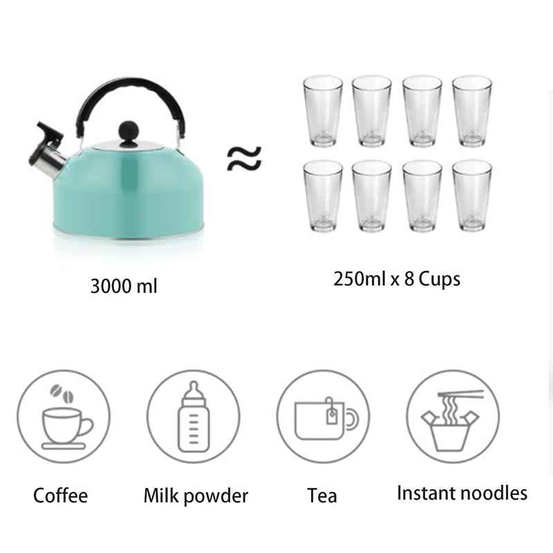Enhance Your Tea Time with Our 3L Stainless Steel Kettle by eprolo