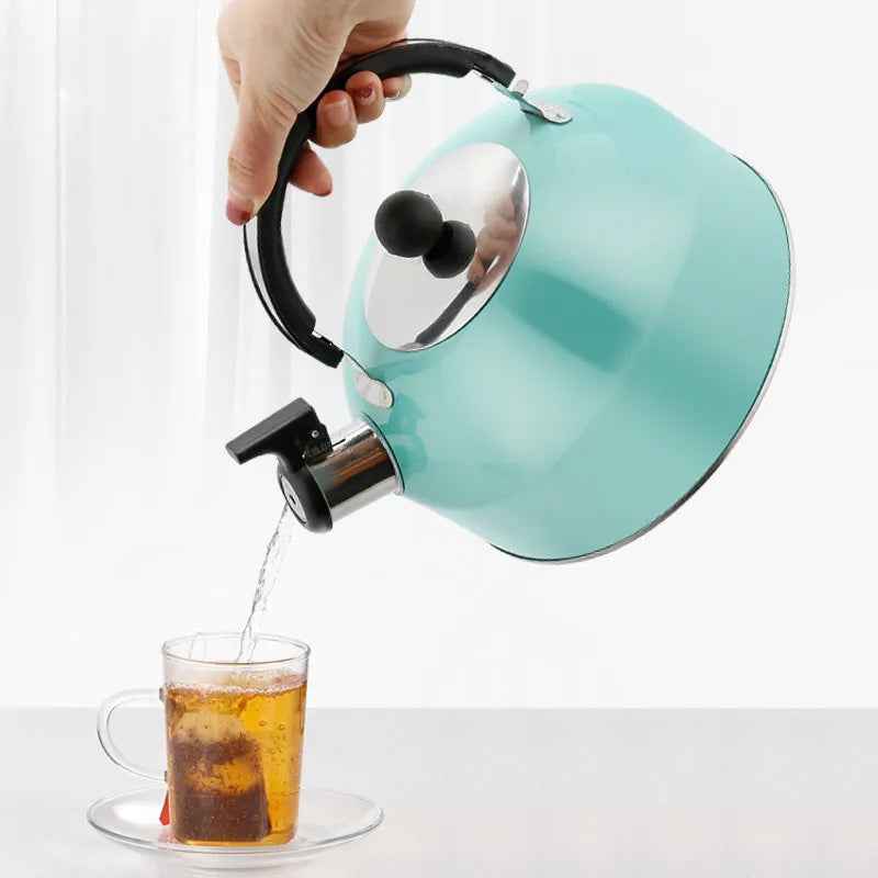 Enhance Your Tea Time with Our 3L Stainless Steel Kettle by eprolo