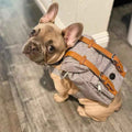 Dog backpack Pet small schoolbag with straps Portable by eprolo