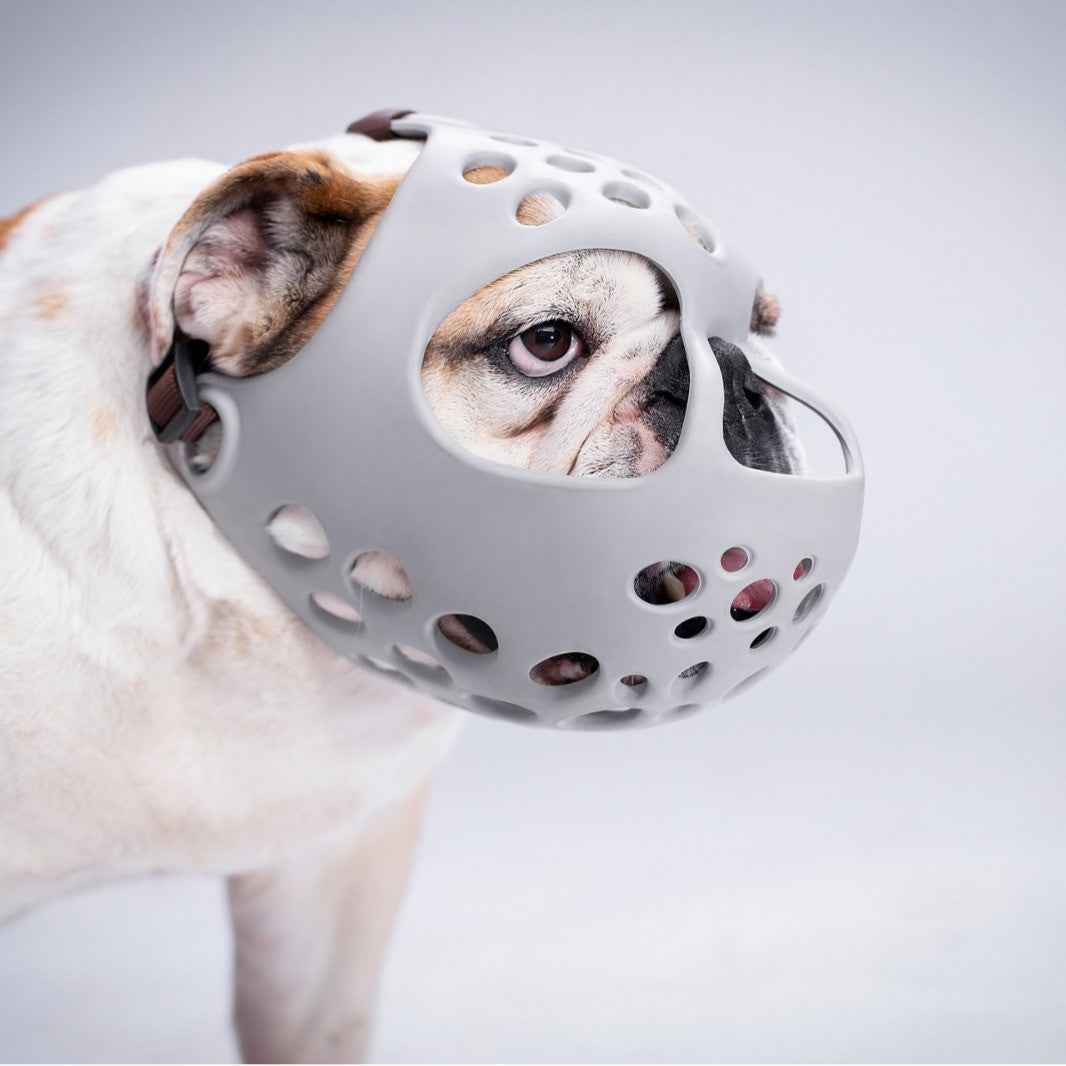 Humble Dog Soft Rubber Short-Muzzle Dog Muzzle for Bull Terrier, English Bulldog, French Bulldog, Pug - Prevents Biting and Eating Randomly by eprolo