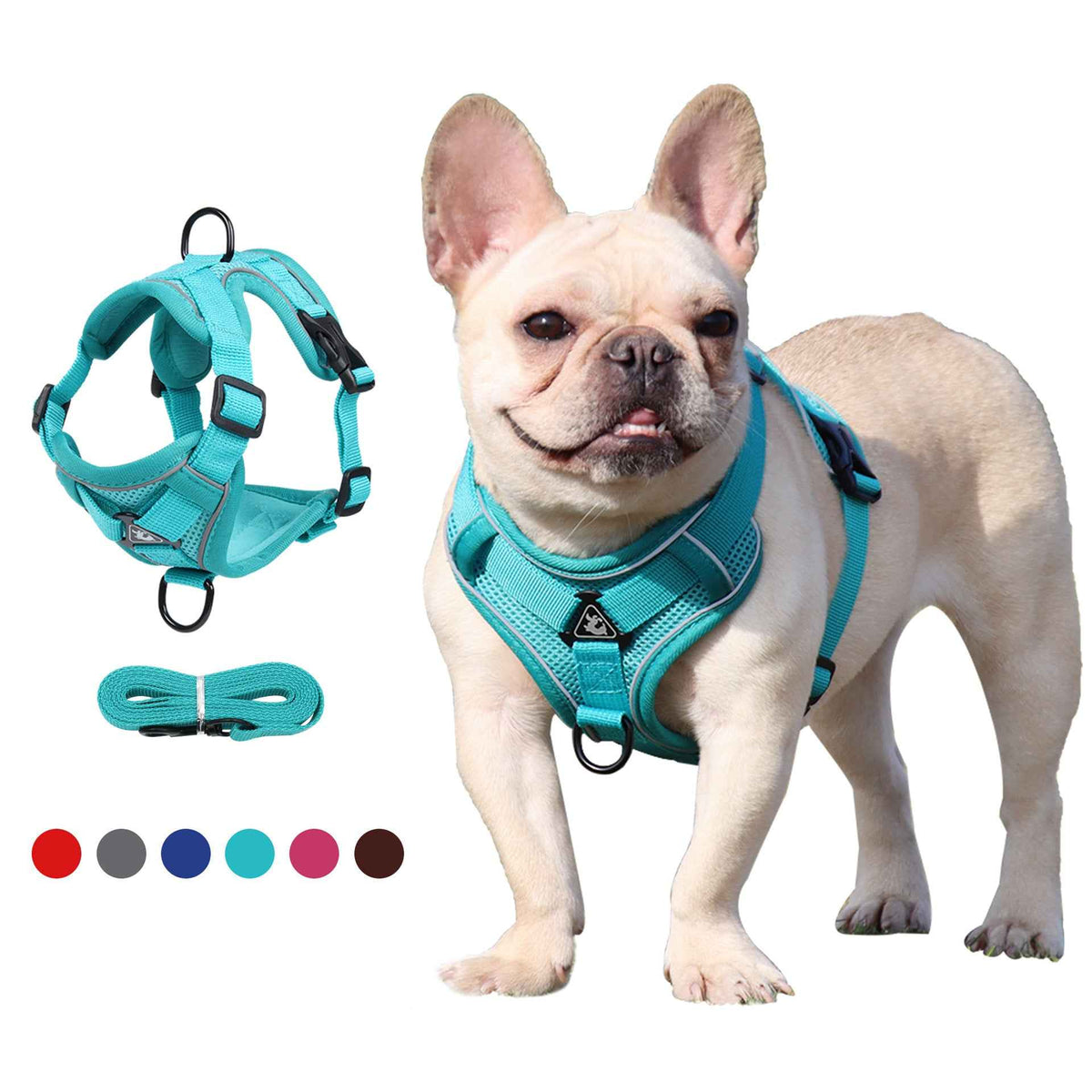 Pet Leash Reflective Breathable Cat Harness Vest Style Small Cat Breathable Reflective by eprolo